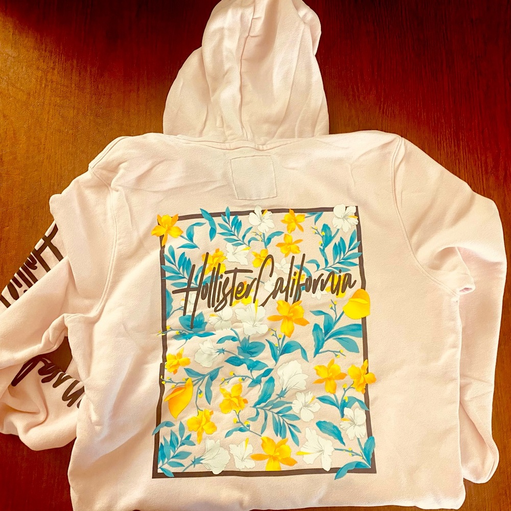 Hollister California Mens Hoodie L